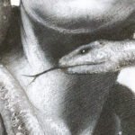 Carta Da Parati Special Edition Giuditta - Inkiostro Bianco - immagine 2