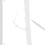 Carta Da Parati Trees 2014 - Inkiostro Bianco - immagine 2