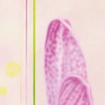 Carta Da Parati Briskly - Inkiostro Bianco - immagine 2