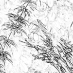 Carta Da Parati Foresta - Inkiostro Bianco - immagine 2