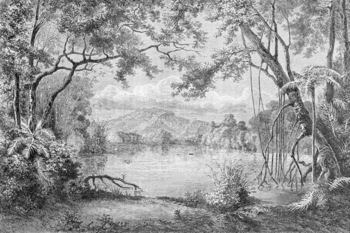 Carta Da Parati Vanity - Inkiostro Bianco - Image 3