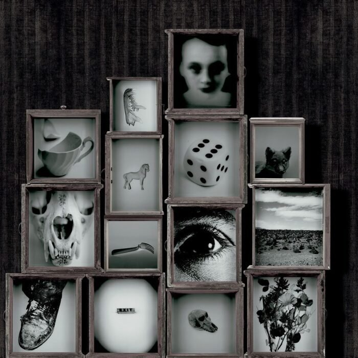 Carta Da Parati Drawers - Inkiostro Bianco - immagine 4