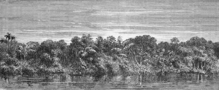 Carta Da Parati Jungle - Inkiostro Bianco - immagine 3