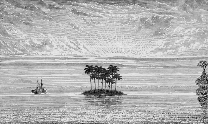 Carta Da Parati Island - Inkiostro Bianco - immagine 3