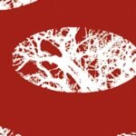 Carta Da Parati Elliptcal Forest - Wall&Decò - Image 3