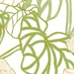 Carta Da Parati Amazon - Wall&Decò - immagine 3