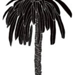 Carta Da Parati Hula Coconut - Wall&Decò - immagine 2