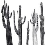 Carta Da Parati Desert Spirit - Wall&Decò - immagine 3