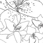 Carta Da Parati Underground Lily- Wall&Decò - immagine 2