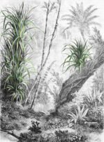 Carta Da Parati Foresta - Inkiostro Bianco - immagine 4