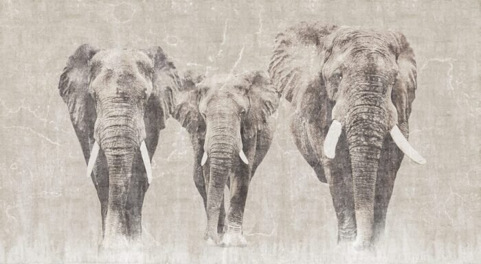 Carta da Parati Africa - Londonart - immagine 2