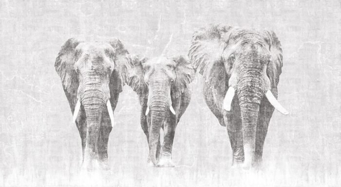 Carta da Parati Africa - Londonart - immagine 3