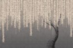 Carta da Parati Willow - Londonart - immagine 2