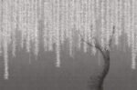 Carta da Parati Willow - Londonart - immagine 5