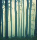 Carta da Parati In The Absense Of The Truth - Londonart - immagine 2