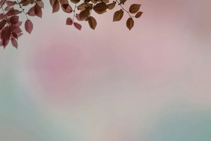 Carta Da Parati Amour - Glamora - immagine 4