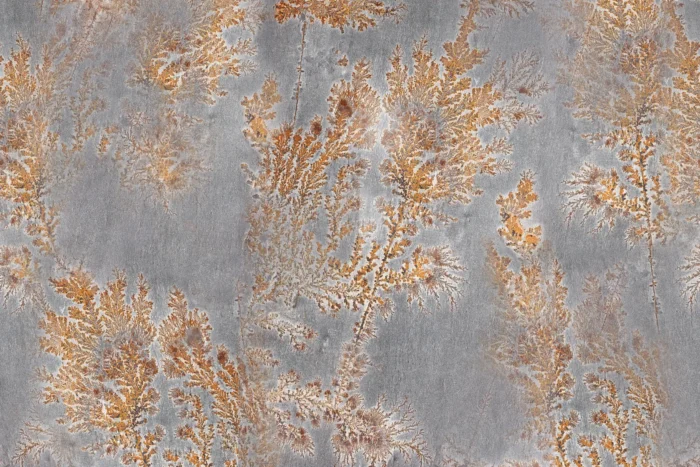 Carta Da Parati Octocorallia - Glamora - Image 4