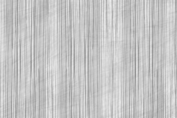 Carta Da Parati Bosco Silente - Glamora - immagine 7