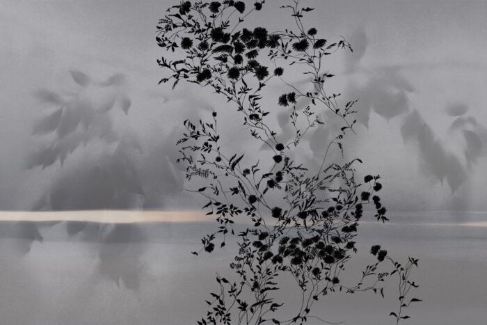 Carta Da Parati Spoon River - Glamora - immagine 8