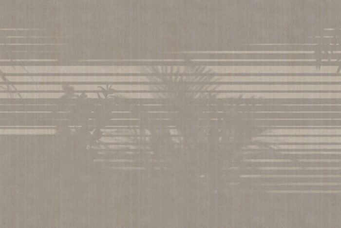 Carta Da Parati Morning-Light - Glamora - immagine 4