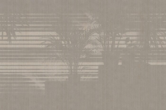 Carta Da Parati Morning-Light - Glamora - immagine 3