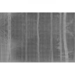 Carta Da Parati Forest - Glamora - immagine 4