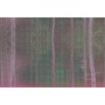 Carta Da Parati Forest - Glamora - immagine 6