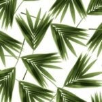 Carta Da Parati Jungle - Wall&Decò - immagine 5