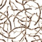 Carta Da Parati Ghotica - Wall&Decò - immagine 7