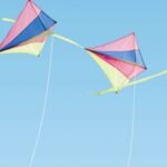 Carta Da Parati Fun - Wall&Decò - immagine 3