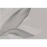 Carta Da Parati Piuma - Glamora - immagine 3