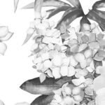 Carta Da Parati Narciso - Inkiostro Bianco - immagine 2