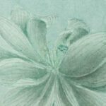 Carta Da Parati Ninfea - Inkiostro Bianco - immagine 2