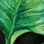 Carta Da Parati Rosè - Inkiostro Bianco - immagine 2