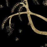 Carta Da Parati Lorien - Inkiostro Bianco - immagine 4