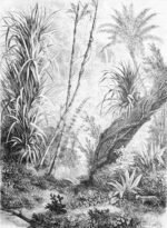 Carta Da Parati Foresta - Inkiostro Bianco - immagine 3