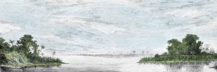 Carta Da Parati Lake - Inkiostro Bianco - Image 4