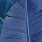 Carta Da Parati Herbage - Inkiostro Bianco - immagine 3