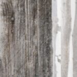 Carta Da Parati Little Red Riding Hood - Inkiostro Bianco - immagine 2