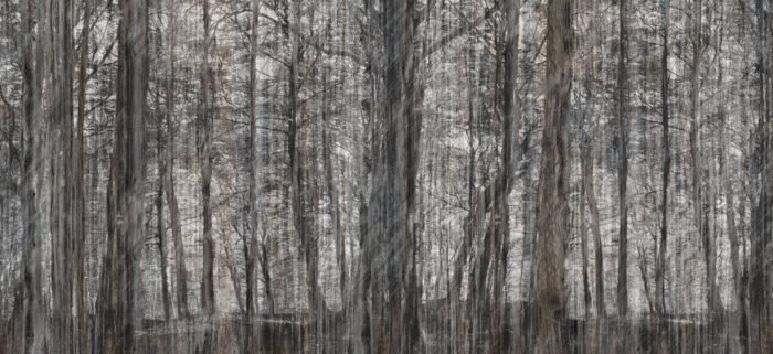 Carta Da Parati Little Red Riding Hood - Inkiostro Bianco - immagine 4
