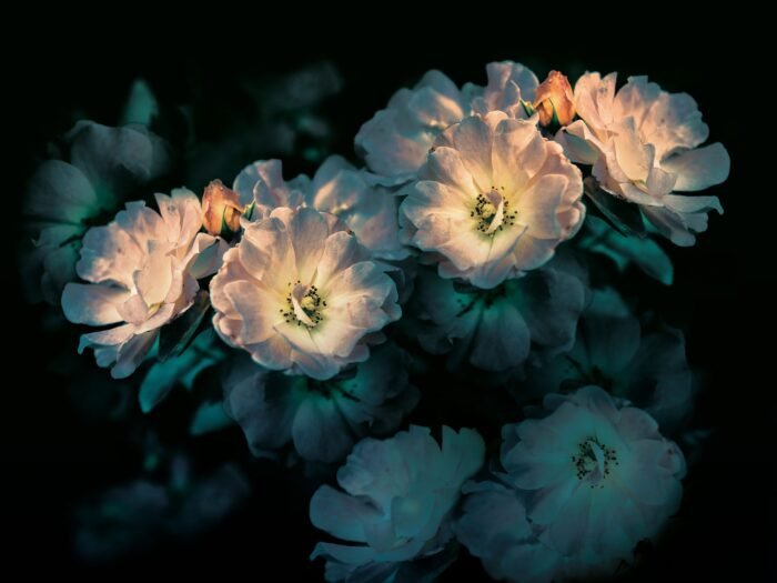 Aroma Wallpaper - Inkiostro Bianco - Image 4
