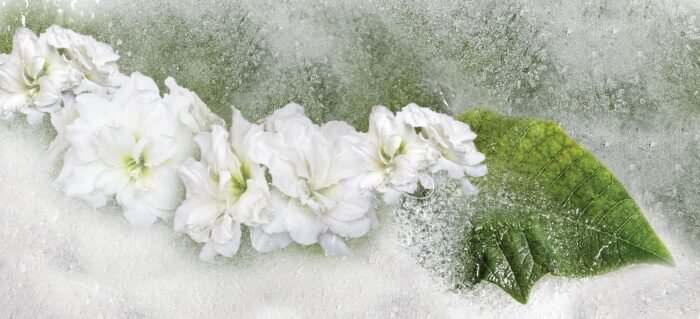 Carta Da Parati Iceflor - Inkiostro Bianco - Image 3
