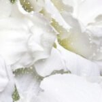 Carta Da Parati Iceflor - Inkiostro Bianco - immagine 2