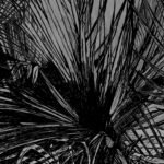 Carta Da Parati Find me - Inkiostro Bianco - Image 4