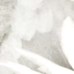 Wings Wallpaper - Inkiostro Bianco - Image 2