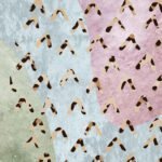 Carta Da Parati Evolution - Inkiostro Bianco - Image 4