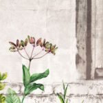 Carta Da Parati Camporella - Inkiostro Bianco - immagine 3