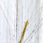 Carta Da Parati Messi - Inkiostro Bianco - immagine 2