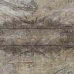 Carta Da Parati Neo Classic- Inkiostro Bianco - immagine 2