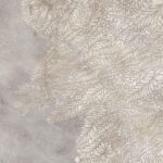 Carta Da Parati Fossil - Inkiostro Bianco - immagine 4